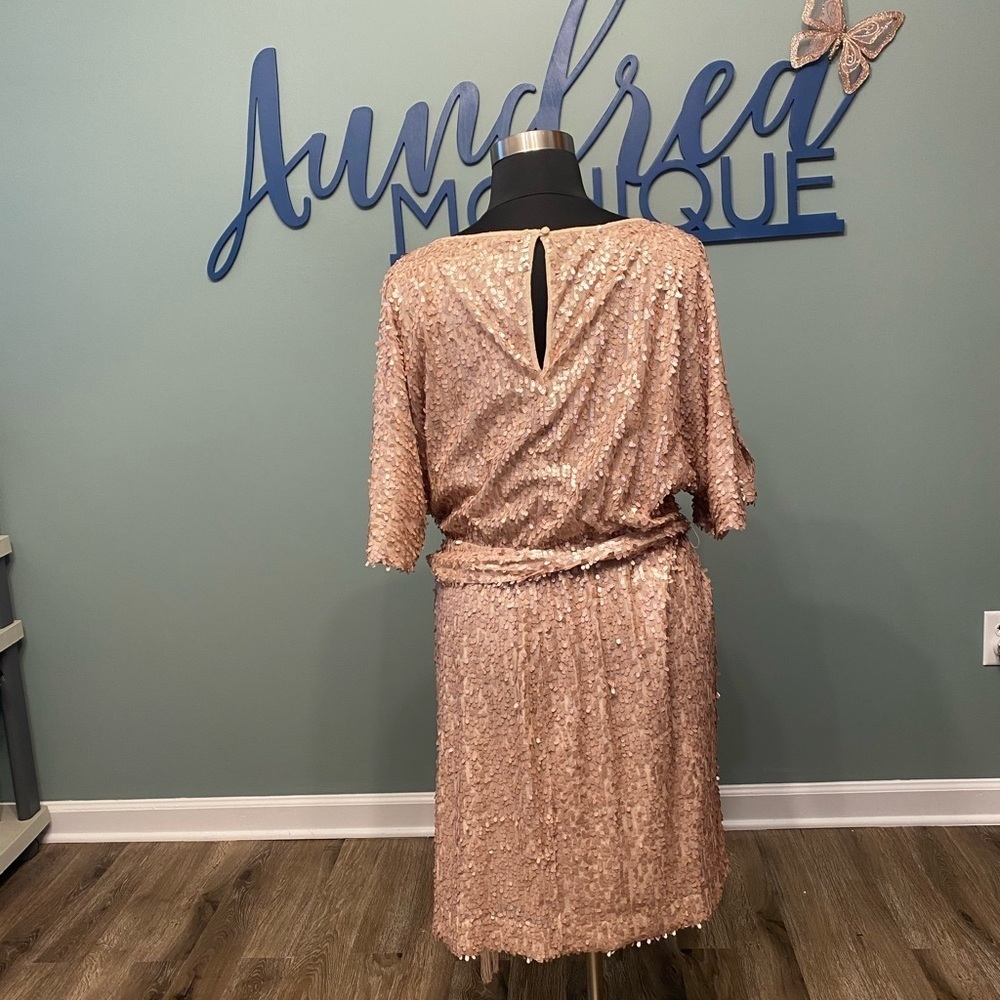 Pink Sequined Dress - Picture 2 of 3